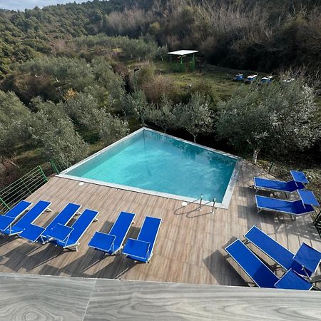 Qyteza Guest House & Camping Shkodër 외부 사진