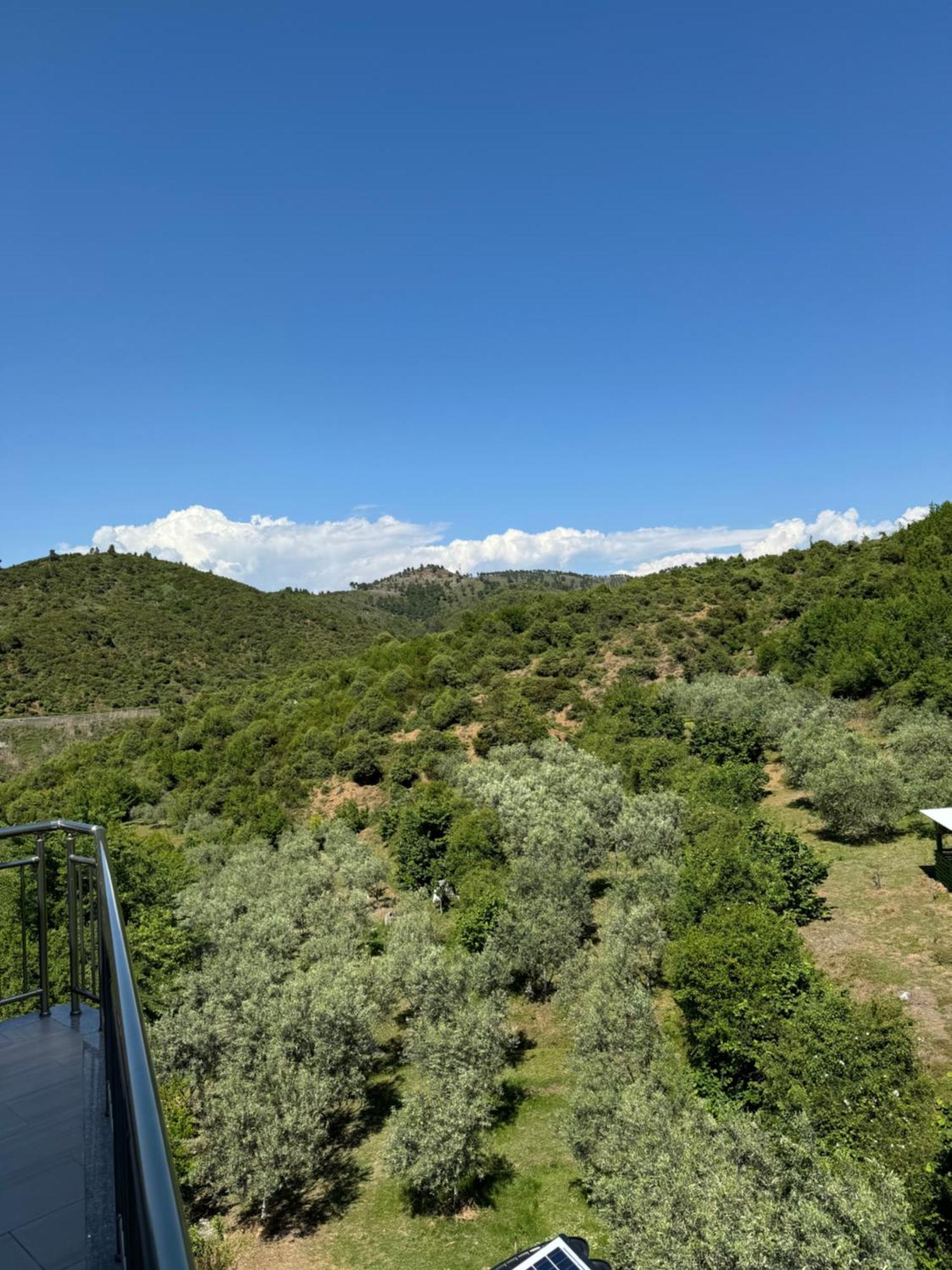 Qyteza Guest House & Camping Shkodër 외부 사진