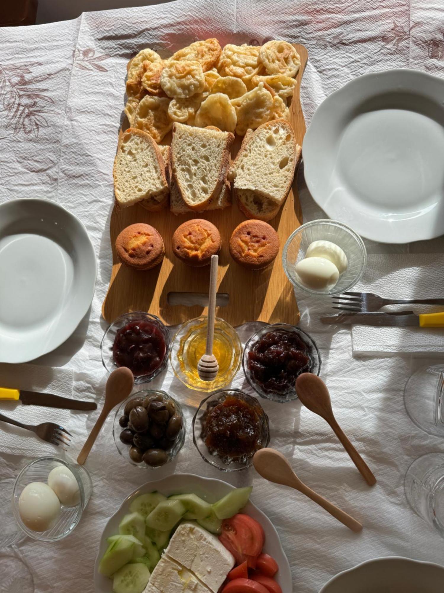 Qyteza Guest House & Camping Shkodër 외부 사진