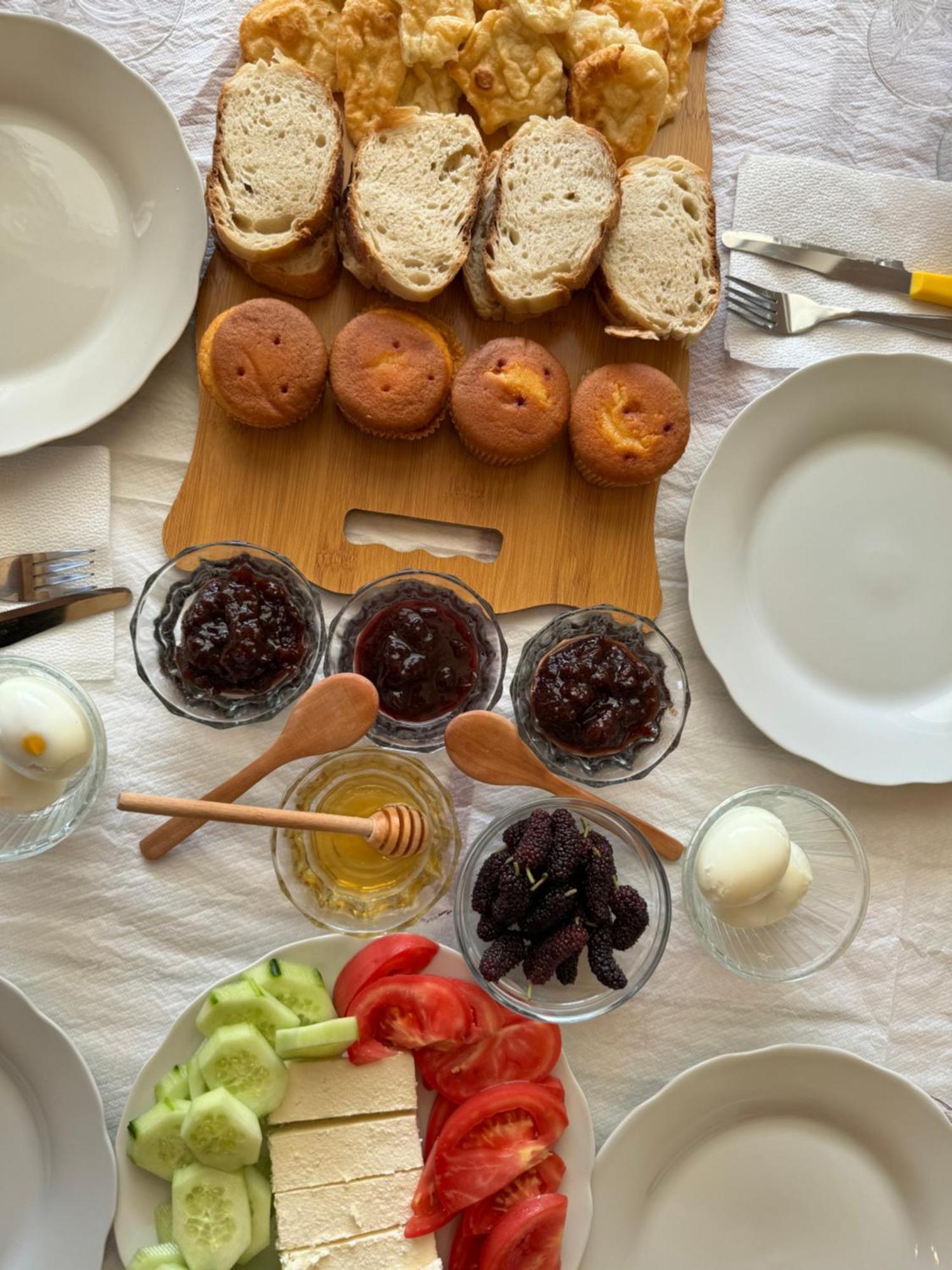 Qyteza Guest House & Camping Shkodër 외부 사진