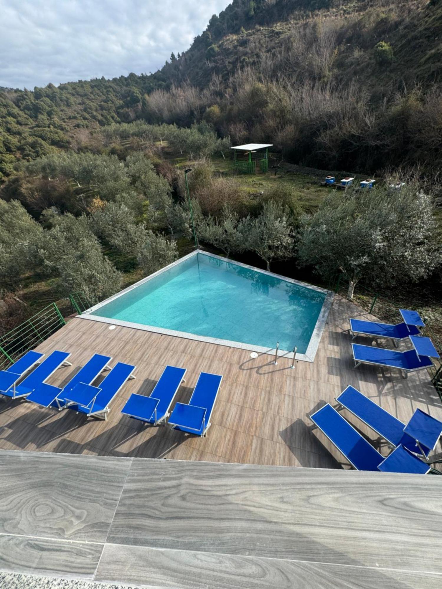 Qyteza Guest House & Camping Shkodër 외부 사진